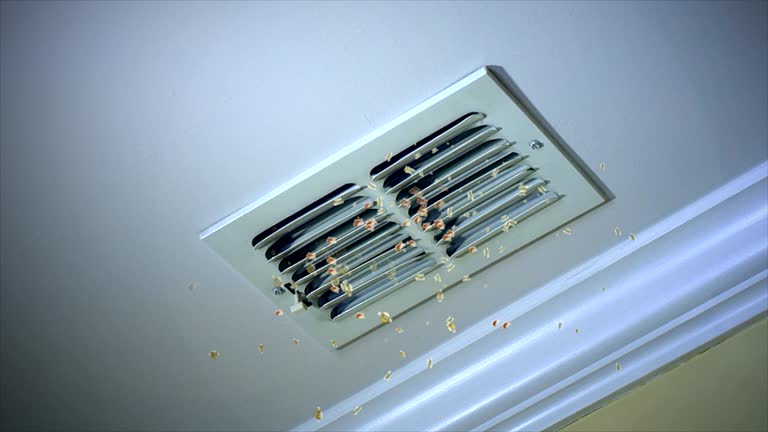 Best Home Air Vent Cleaning  in Iraan, TX
