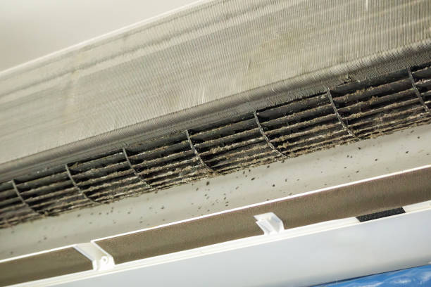 Best Affordable Duct Cleaning Services  in Iraan, TX
